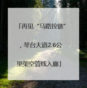 再见“马路拉链”，琴台大道2.6公里架空管线入廊