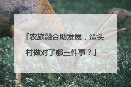 农旅融合助发展，潭头村做对了哪三件事？