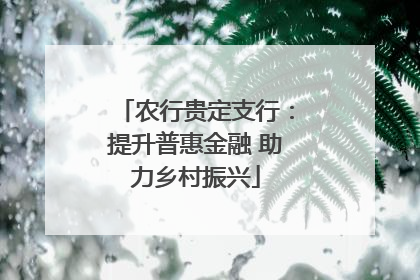 农行贵定支行：提升普惠金融 助力乡村振兴