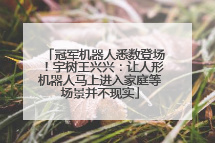 冠军机器人悉数登场！宇树王兴兴：让人形机器人马上进入家庭等场景并不现实