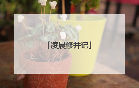 凌晨修井记