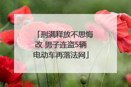 刑满释放不思悔改 男子连盗5辆电动车再落法网