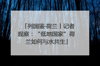 列国鉴·荷兰丨记者观察：“低地国家”荷兰如何与水共生
