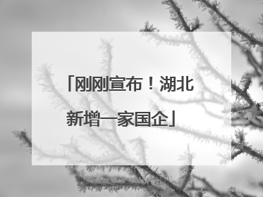 刚刚宣布！湖北新增一家国企