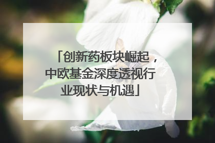 创新药板块崛起，中欧基金深度透视行业现状与机遇
