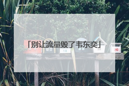 别让流量毁了韦东奕