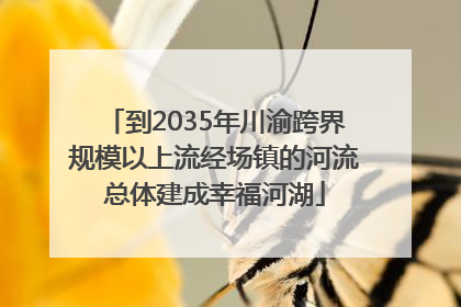 到2035年川渝跨界规模以上流经场镇的河流总体建成幸福河湖