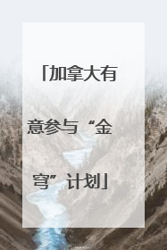 加拿大有意参与“金穹”计划