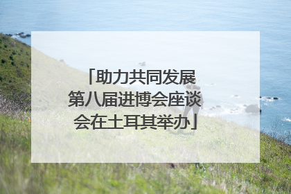 助力共同发展 第八届进博会座谈会在土耳其举办