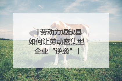 劳动力短缺县 如何让劳动密集型企业“逆袭”