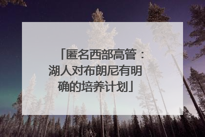 匿名西部高管：湖人对布朗尼有明确的培养计划
