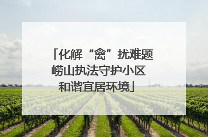 化解“禽”扰难题 崂山执法守护小区和谐宜居环境