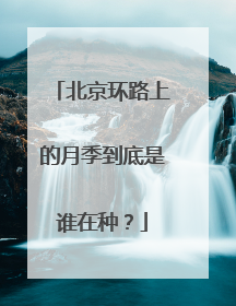 北京环路上的月季到底是谁在种？