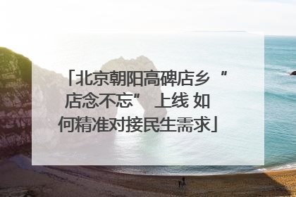 北京朝阳高碑店乡“店念不忘” 上线 如何精准对接民生需求