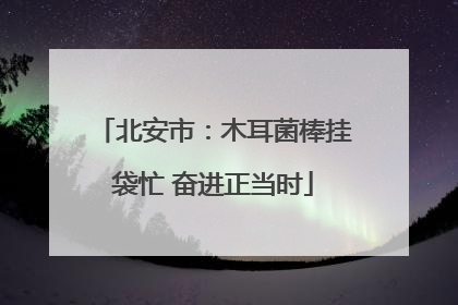 北安市：木耳菌棒挂袋忙 奋进正当时