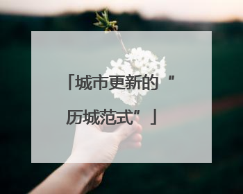 城市更新的“历城范式”
