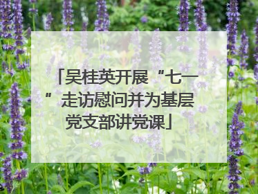 吴桂英开展“七一”走访慰问并为基层党支部讲党课