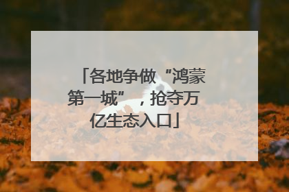 各地争做“鸿蒙第一城”，抢夺万亿生态入口