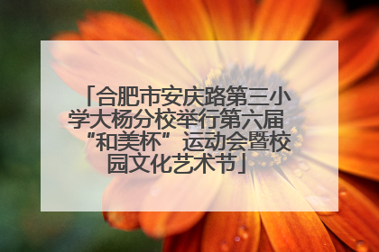 合肥市安庆路第三小学大杨分校举行第六届“和美杯”运动会暨校园文化艺术节
