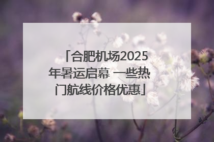 合肥机场2025年暑运启幕 一些热门航线价格优惠