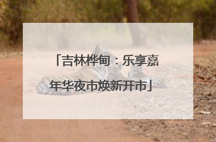 吉林桦甸：乐享嘉年华夜市焕新开市