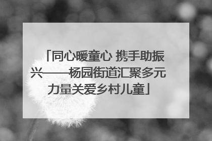 同心暖童心 携手助振兴——杨园街道汇聚多元力量关爱乡村儿童