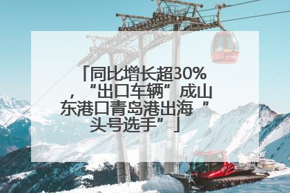 同比增长超30%，“出口车辆”成山东港口青岛港出海“头号选手”