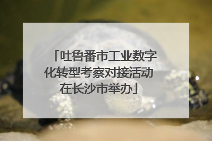 吐鲁番市工业数字化转型考察对接活动在长沙市举办