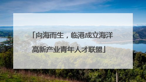 向海而生，临港成立海洋高新产业青年人才联盟