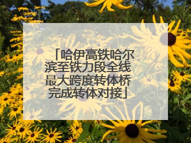 哈伊高铁哈尔滨至铁力段全线最大跨度转体桥完成转体对接
