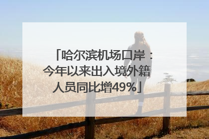 哈尔滨机场口岸：今年以来出入境外籍人员同比增49%