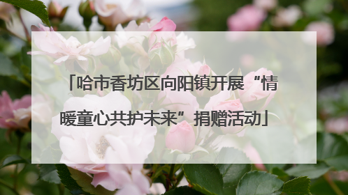哈市香坊区向阳镇开展“情暖童心共护未来”捐赠活动