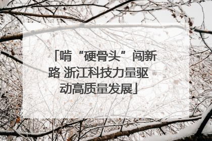 啃“硬骨头”闯新路 浙江科技力量驱动高质量发展