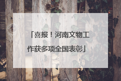 喜报！河南文物工作获多项全国表彰