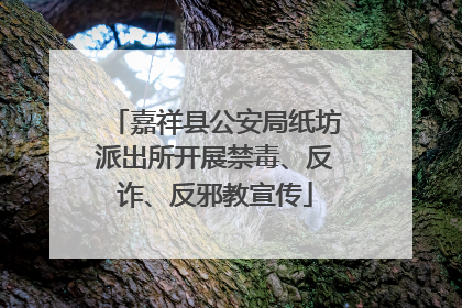 嘉祥县公安局纸坊派出所开展禁毒、反诈、反邪教宣传