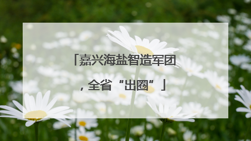 嘉兴海盐智造军团，全省“出圈”