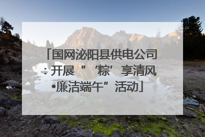 国网泌阳县供电公司：开展“‘粽’享清风 •廉洁端午”活动