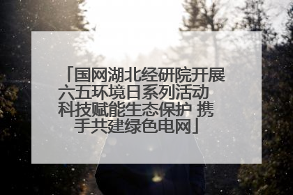 国网湖北经研院开展六五环境日系列活动 科技赋能生态保护 携手共建绿色电网