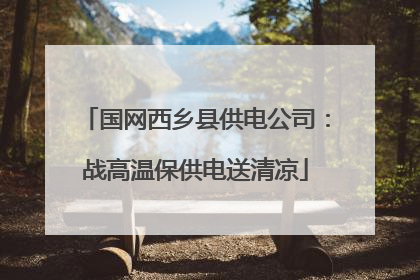 国网西乡县供电公司：战高温保供电送清凉