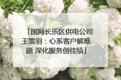 国网长乐区供电公司王雪羽：心系客户解难题 深化服务创佳绩