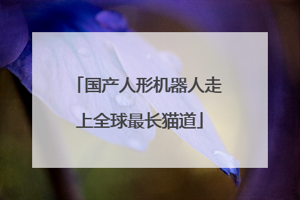 国产人形机器人走上全球最长猫道