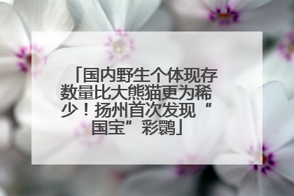 国内野生个体现存数量比大熊猫更为稀少！扬州首次发现“国宝”彩鹮