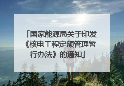 国家能源局关于印发《核电工程定额管理暂行办法》的通知
