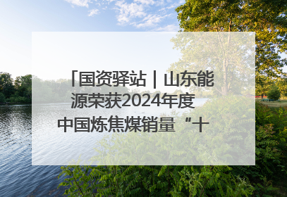 国资驿站｜山东能源荣获2024年度中国炼焦煤销量“十强”；全国首例铁路盖上智慧物流园钢结构主体完工
