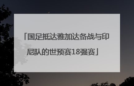 国足抵达雅加达备战与印尼队的世预赛18强赛