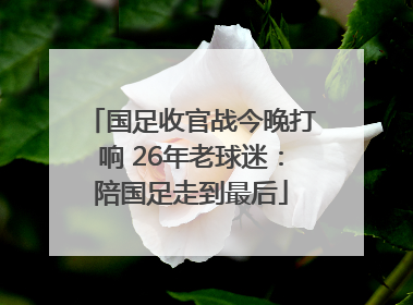 国足收官战今晚打响 26年老球迷：陪国足走到最后