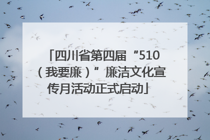 四川省第四届“510（我要廉）”廉洁文化宣传月活动正式启动