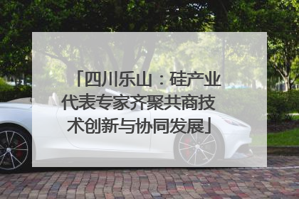 四川乐山：硅产业代表专家齐聚共商技术创新与协同发展