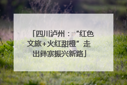 四川泸州：“红色文旅+火红甜橙”走出彝寨振兴新路