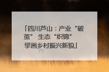 四川芦山：产业“破茧” 生态“织锦” 擘画乡村振兴新貌